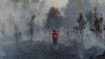 2026-08-14T075830Z_1333692351_RC23YMA1HZTC_RTRMADP_3_ASIA-WEATHER-INDONESIA-WILDFIRE