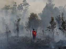 Heftige Waldbrände in Indonesien: Wie ein Jugendlicher als Superman die Flammen bekämpft