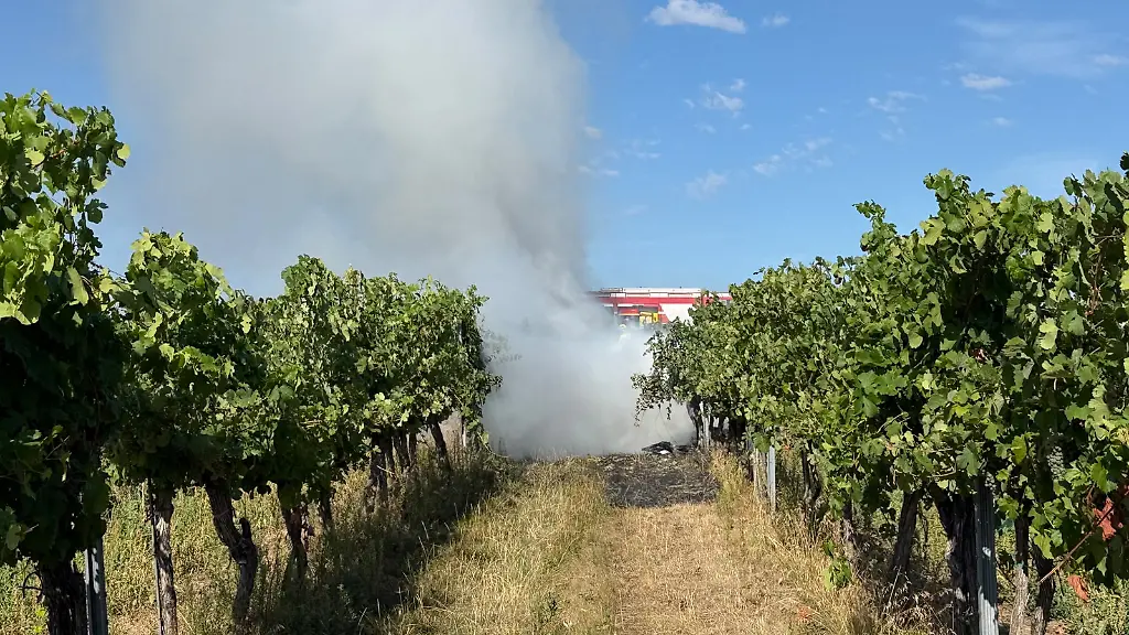 HANDOUT-24-08-2026-Oesterreich-Krems-Rauch-steigt-am-Unfallort-in-der-Naehe-des-Flugplatzes-Krems-Gneixendorf-auf-Bei-dem-Unfall-mit-zwei-Kleinflugzeugen-sind-beide-Piloten-ums-Leben-gekommen-Die-beiden-Maschinen-stiessen-in-der-Luft-zusammen-und-stuerzten-in-Gneixendorf-bei-Krems-an-der-Donau-ab