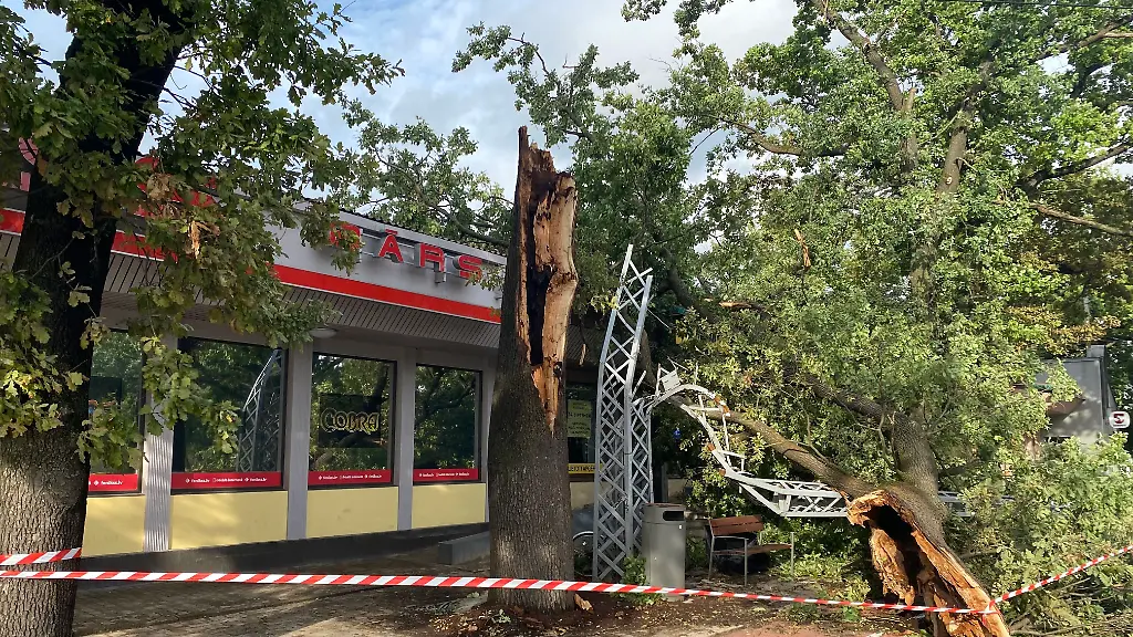 Ein-durch-schwere-Stuerme-zerstoerter-Baum-und-dessen-abgebrochene-Teile-sind-mit-Absperrband-abgesichert