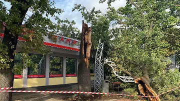 614406415 (1)