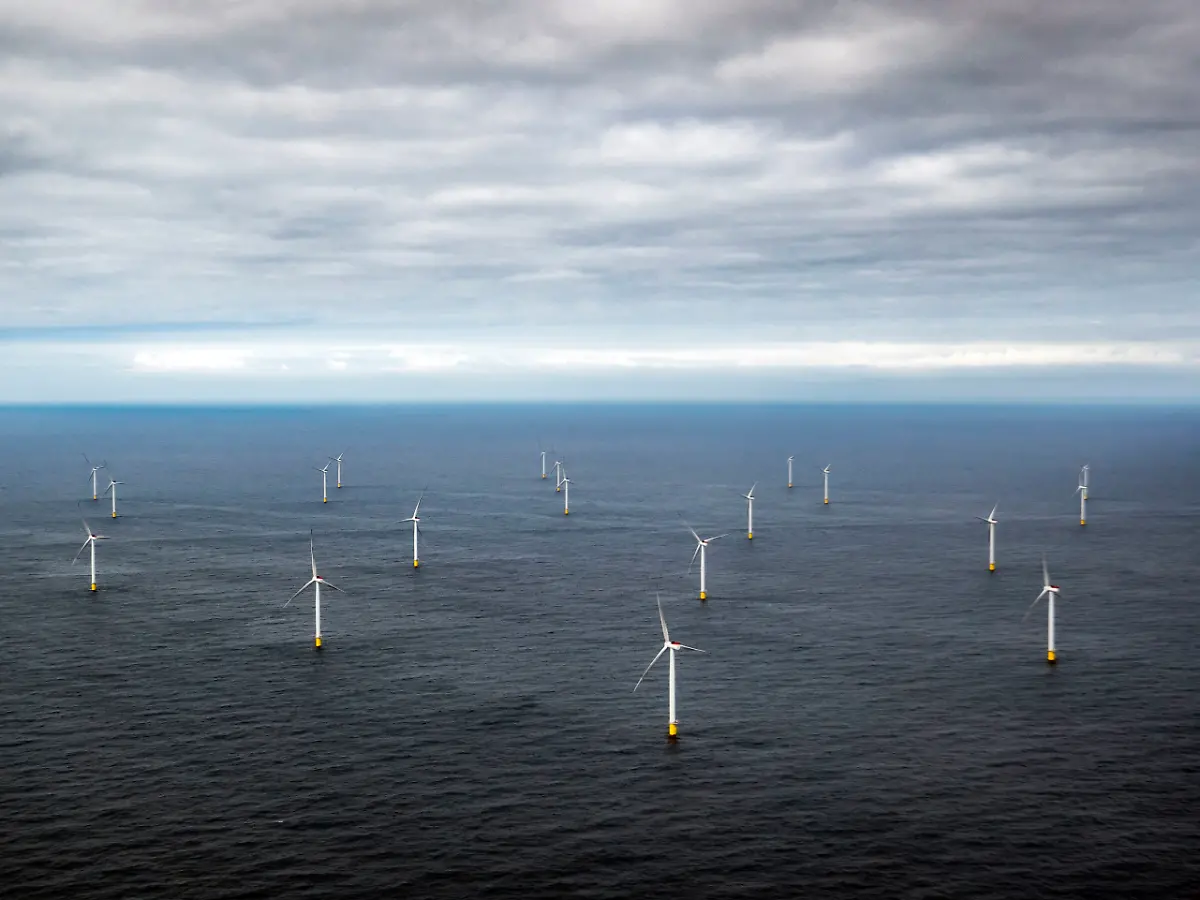Zukunftstechnologien im Ozean: "Bevor wir ins Weltall gehen, sollten wir das Meer nutzen"