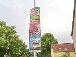 CDU verliert in Umfrage: AfD in Sachsen-Anhalt baut ihren Vorsprung aus