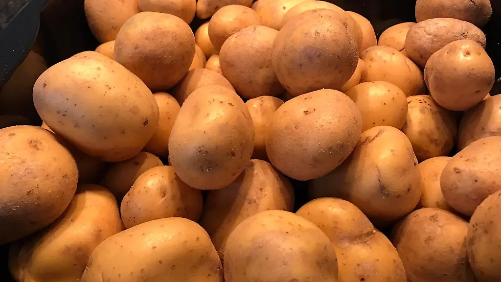 11cc530f-6ace-4f53-b626-116b827f5886