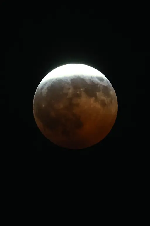 AP26240148898331