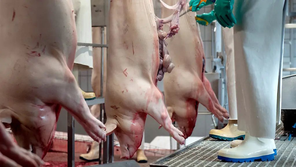 348d8e4bcd34668c291cb9a970e0f2e1