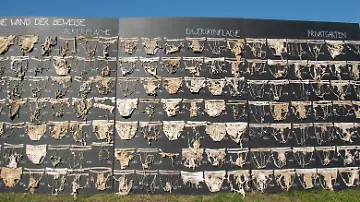 Unterhosen3_Prisca_Koller