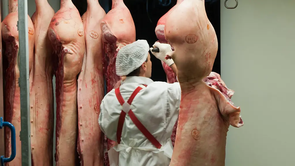 65e18854c22a3b38374690d142a013f4