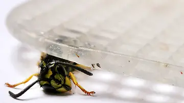 imago50585980
