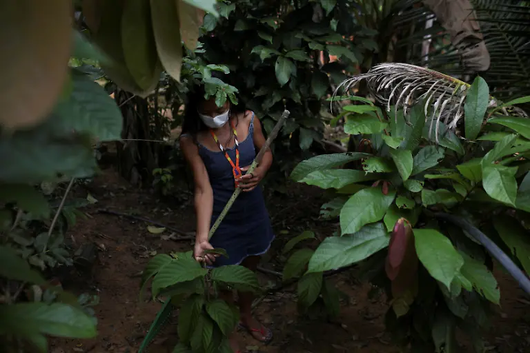 2020-05-07T000000Z-853004139-RC2RJG9N6RQB-RTRMADP-3-HEALTH-CORONAVIRUS-BRAZIL-INDIGENOUSNURSE