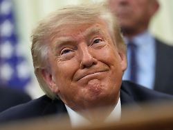 Balken-Grafik zeigt Sieg der AfD: Trump postet Hochrechnung aus Sachsen-Anhalt
