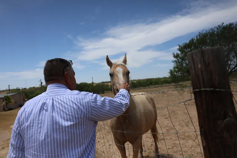 2026-09-05T100212Z_1987458707_RC2T1NAIRINS_RTRMADP_3_USA-FARM-SCREWWORM-HORSES