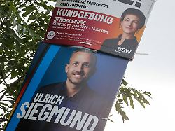 "Keine Brandmauer": BSW bereit zu Gesprächen mit AfD in Sachsen-Anhalt