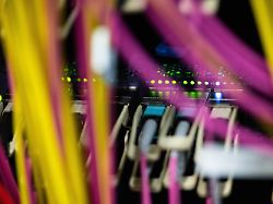 US-Insider läuten Alarmglocken: "Wir glauben wirklich, dass KI alle Menschen töten könnte"