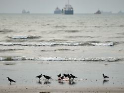 Saudische Öl-Pipeline dicht: Schiff in der Straße von Hormus beschossen