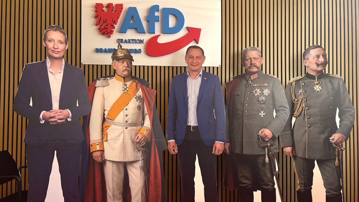 Fragwürdige Pappfiguren in PotsdamAfD holt Bismarck, Hindenburg und Wilhelm II. ins Parlament