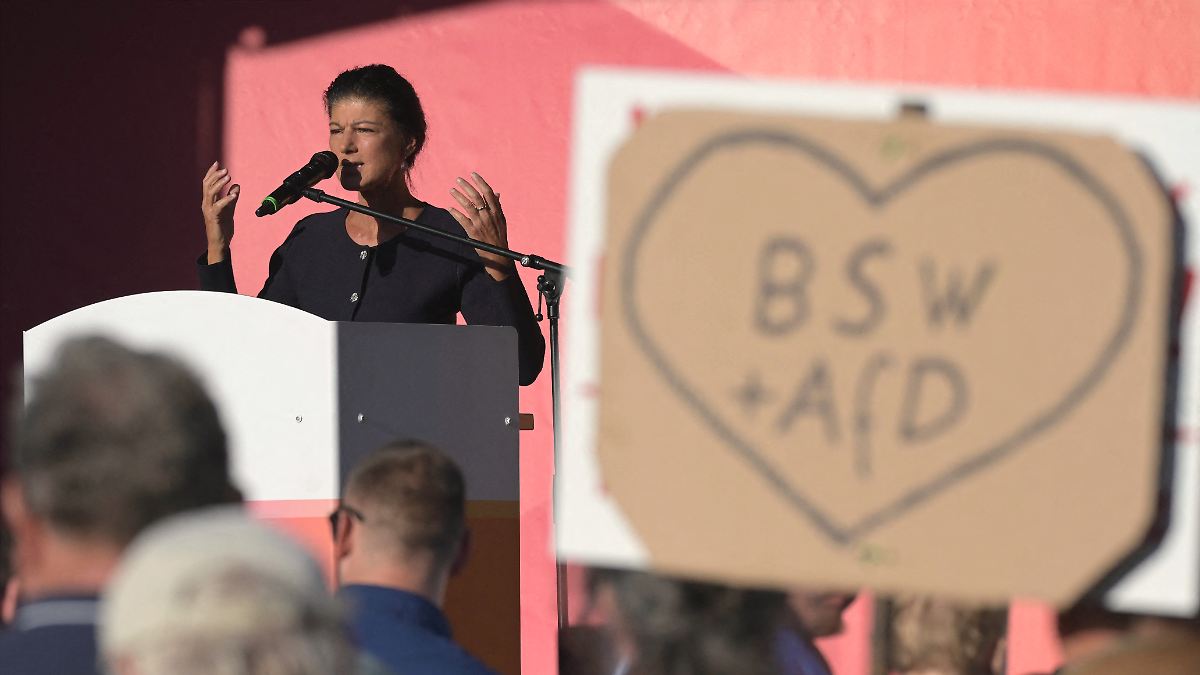 Wagenknecht kritisiert AfD-Spitze in Sachsen-Anhalt: „Wirklich schräge Figuren“
