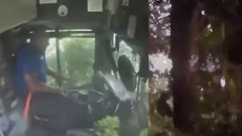 busschlaf