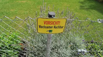 29590685