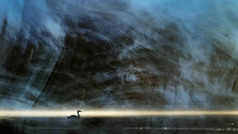 BRONZE - Creative Perspectives - Grebe Impression by Julian Łoziński