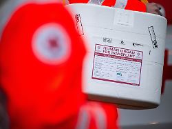 Debatte um Widerspruchslösung: Gegensätzliche Organspende-Anträge im Bundestag eingebracht