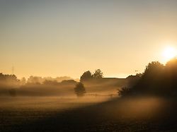 Wetterwoche im Schnellcheck: Neue Woche bringt Nebel, Sonne und spätsommerliche Wärme