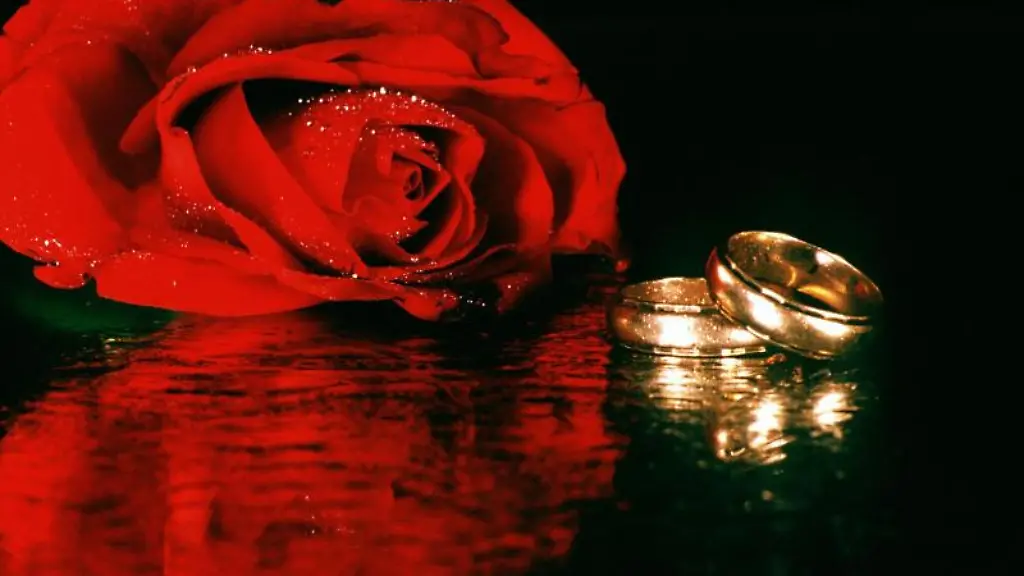 Zwei-sich-spiegelnde-goldene-Eheringe-liegen-neben-einer-roten-Rose