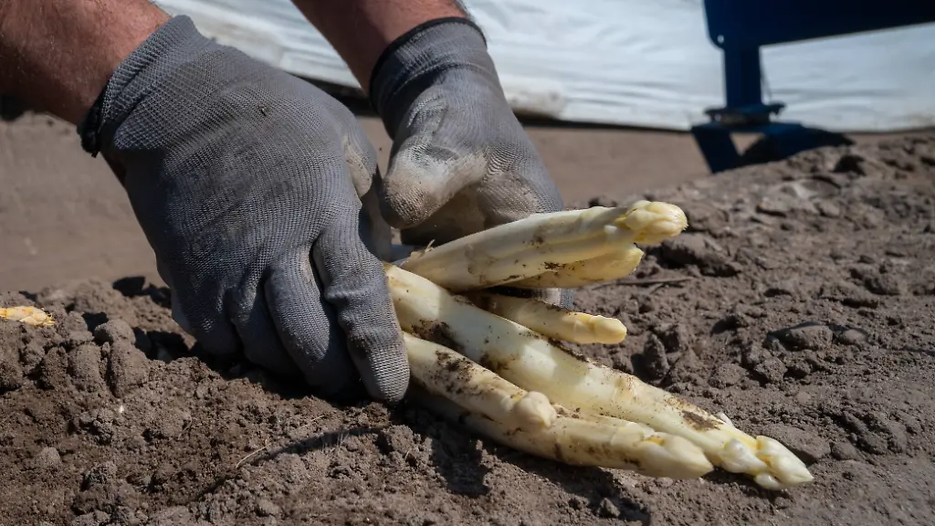 7430246722002015192318d52788fd1d