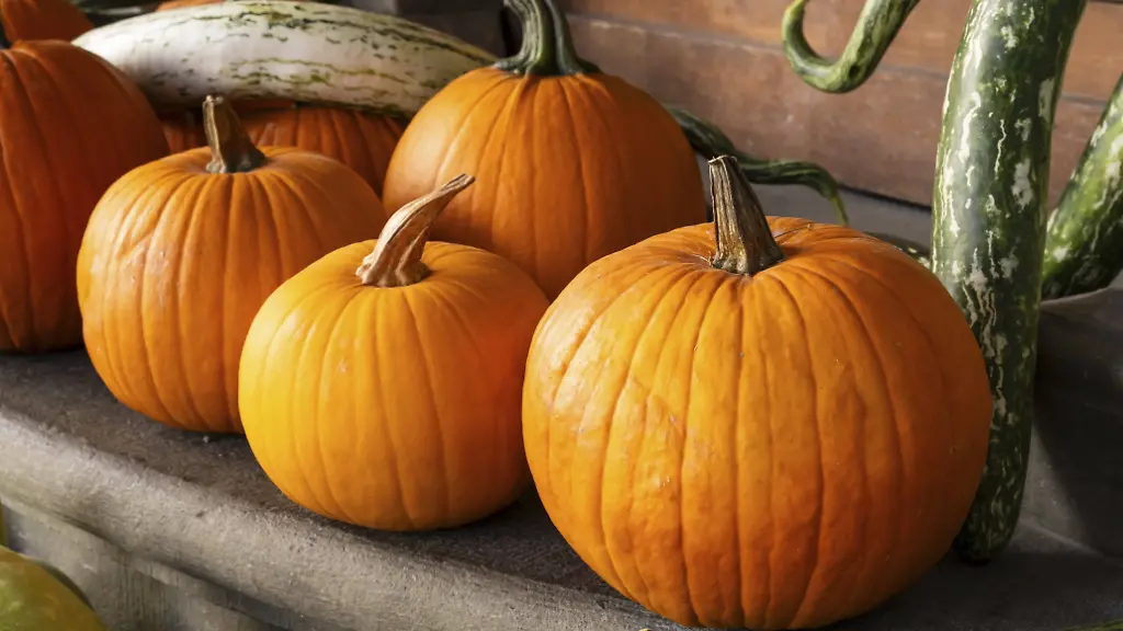 pumpkin spiced spritz