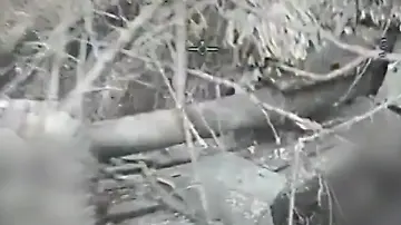 Panzer