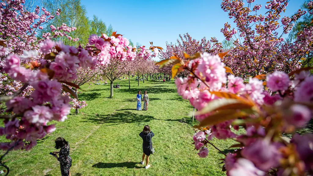 Die-Menschen-wollen-sich-in-der-Krise-auch-physisch-naeher-kommen-duerfen-es-aber-nicht
