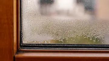 Kondeswasser am Fenster