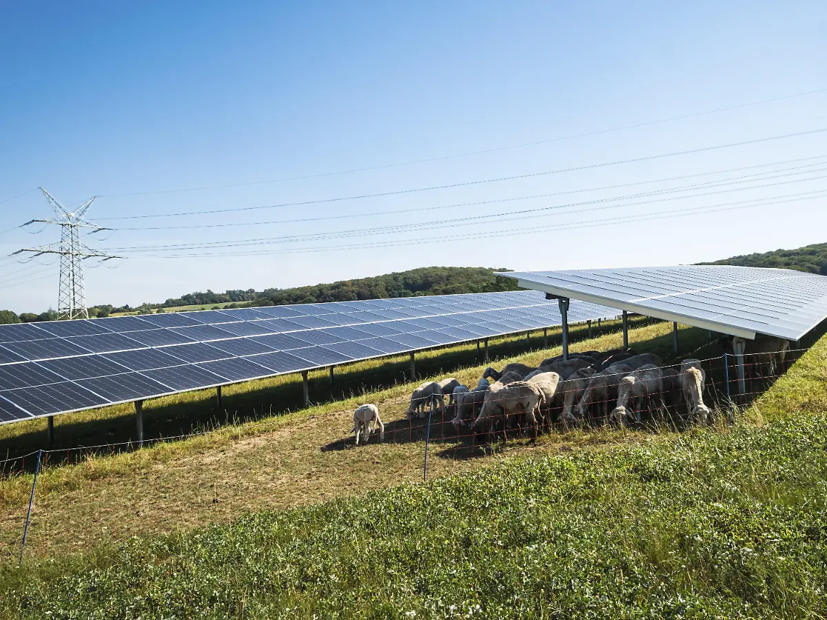 Dank Ausbau und viel Sonne: Deutschland produziert so viel Solarstrom wie noch nie