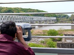 Drei Verletzte an der Grenze: Südkorea sieht Schuld für Minenexplosion in Pjöngjang