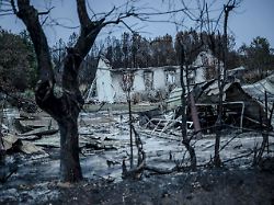 Nach zwei Monaten: Frankreichs Feuerwehr löscht größten Waldbrand seit 1949