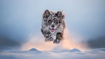 Winter Launch
