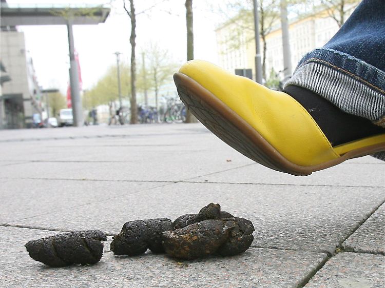 Überall lauern Tretminen ...