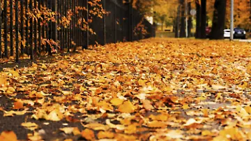epi_1078557648_IMAGO SP_imago st 0922 11480001 0866901698.jpg_Herbstlandschaft in 