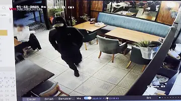 KoelnNews_346382628_3850
