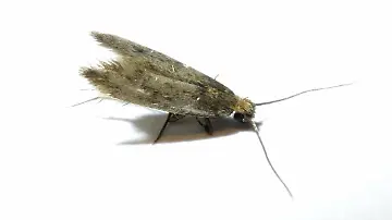 imago0824092280h