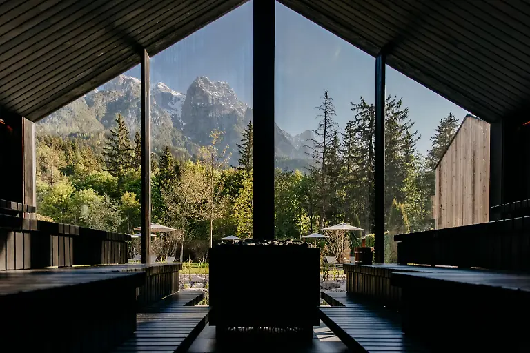 Wellness