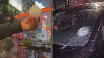 tennisball