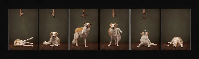 Loosing Control