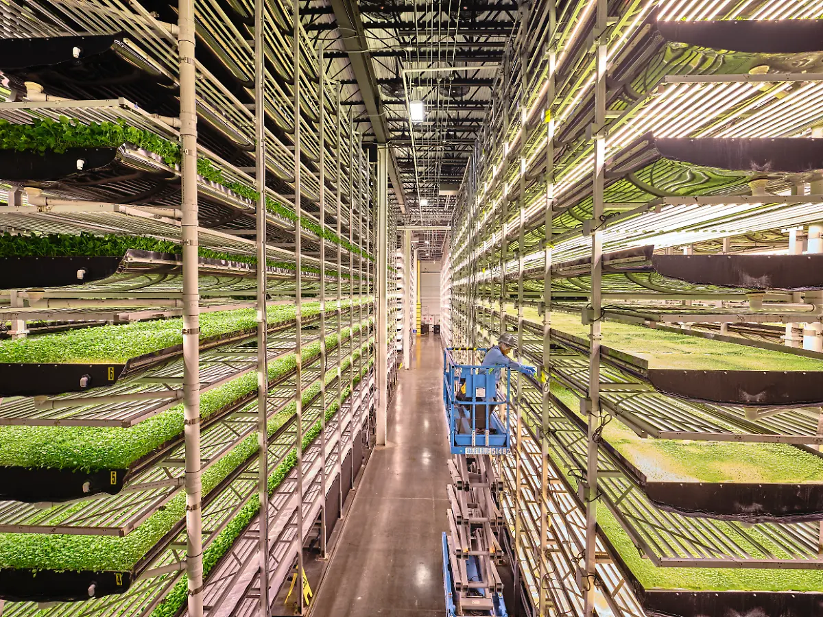 051-Luca-Locatelli-for-National-Geographic