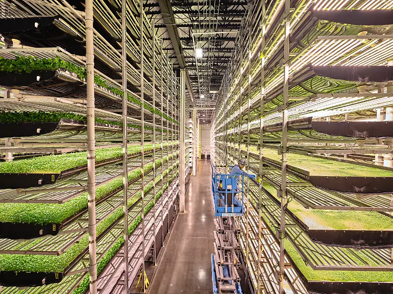 051-Luca-Locatelli-for-National-Geographic