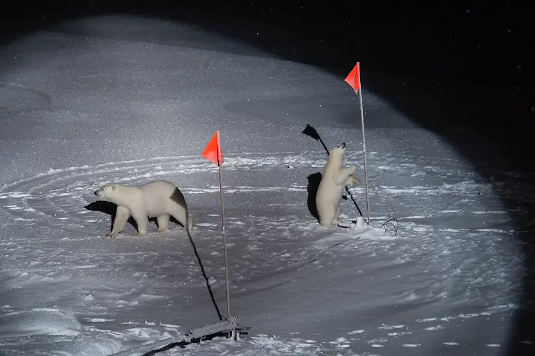 047-Esther-Horvath-for-The-New-York-Times