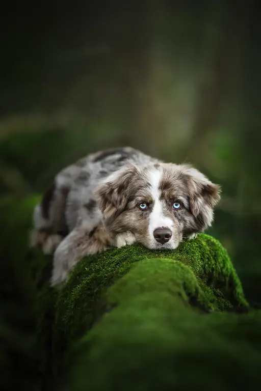 intensity