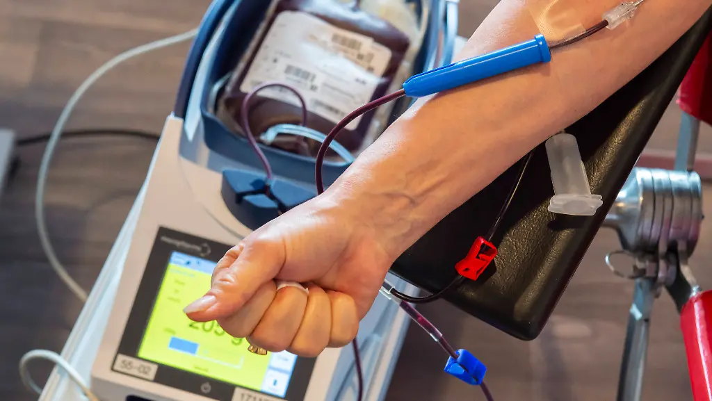 002f84ee4b1624fdf844424556661aae