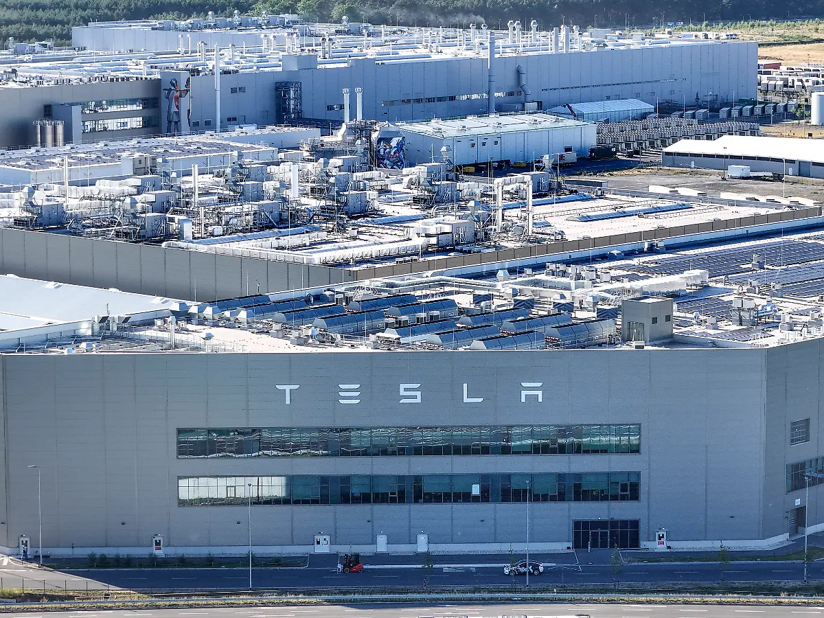 Tesla-Bewerber droht nach Absage mit Anschlägen und schickt Schweineaugen