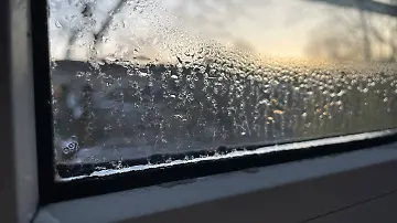 fenster